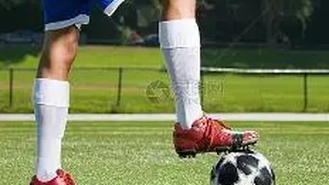 【醇香彩池揭秘】3D第2026029期独门杀号大揭秘：揭秘23！