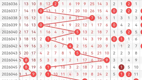 2026025期双色球专家推荐杀号，大乐透盈利预测