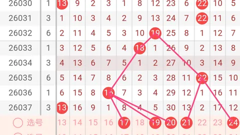 2026027期 福建胆王大乐透2702期稳胆推荐，后区三胆