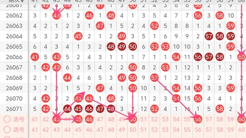 张雨解析大乐透038期：首区09重点，后区0408推荐