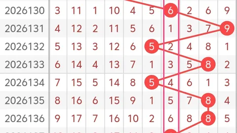任哥彩坛解析：大乐透2026061期深度剖析